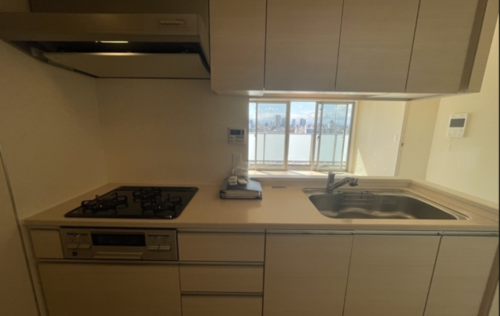 コンフォリア東新宿ステーションフロント (キッチン)イメージ