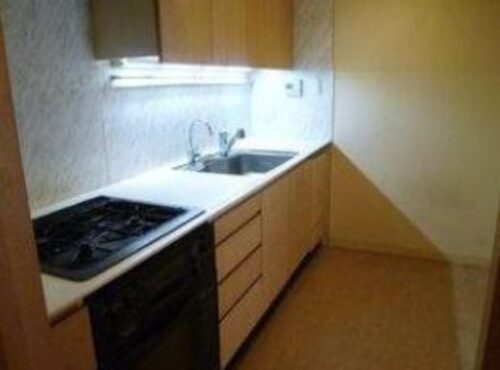 パークコート学芸大学 (キッチン)イメージ