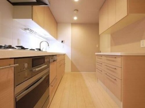 パークコート学芸大学デュアルプレイス (キッチン)イメージ パークコート学芸大学デュアルプレイス (キッチン)イメージ