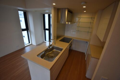 番町パークハウス (キッチン)イメージ