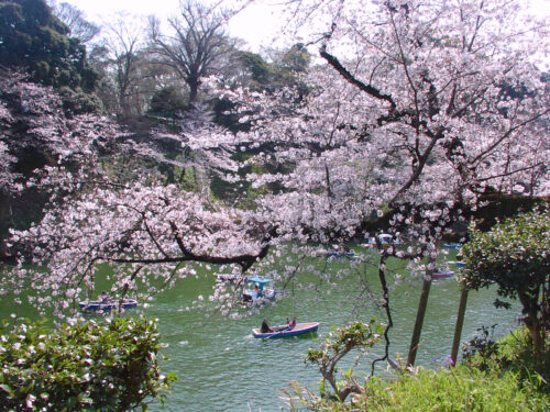 ザ・パークハウス千代田三番町 (周辺)イメージ