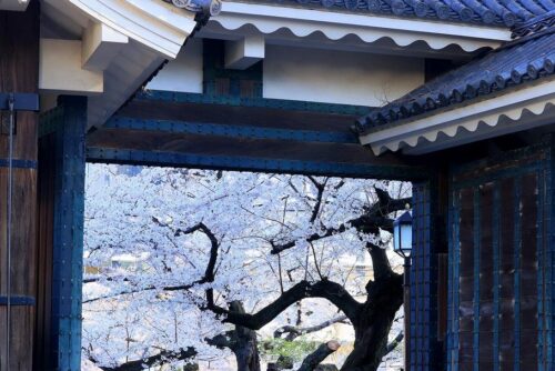 ザ・パークハウス千代田三番町 (周辺)イメージ