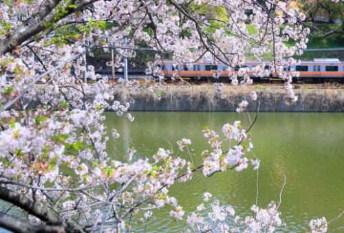 ザ・パークハウス千代田三番町 (周辺)イメージ