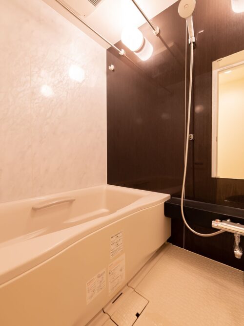 プラティーヌ新宿新都心 (風呂)イメージ