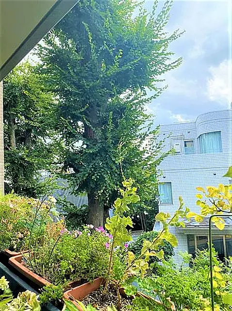 プラウド白金台三丁目 (外観)イメージ プラウド白金台三丁目 (外観)イメージ