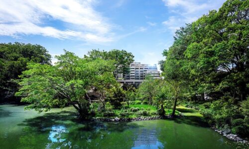 ラ・トゥール南麻布 (外観)イメージ ラ・トゥール南麻布 (外観)イメージ