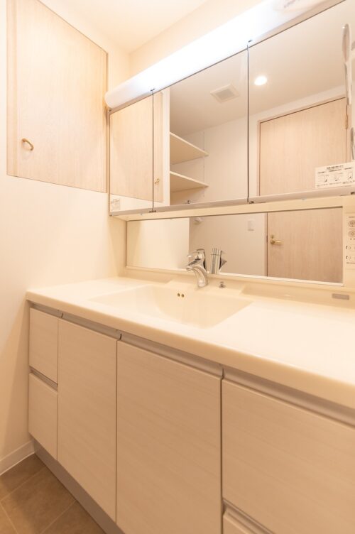 芝公園レジデンス(旧:ラ・トゥール芝公園アネックス)イメージ 芝公園レジデンス(旧:ラ・トゥール芝公園アネックス)イメージ