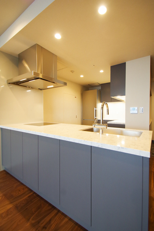 ラ・トゥール芝公園Ⅱ (キッチン)イメージ ラ・トゥール芝公園Ⅱ (キッチン)イメージ