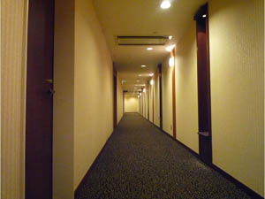 ラ・トゥール芝公園Ⅱ内廊下 (内装)イメージ ラ・トゥール芝公園Ⅱ内廊下 (内装)イメージ