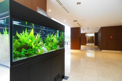 ラ・トゥール市谷砂土原 (内装)イメージ