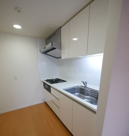 パークアクシス御茶ノ水ステージ (キッチン)イメージ パークアクシス御茶ノ水ステージ (キッチン)イメージ