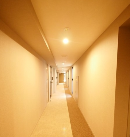 パークアクシス御茶ノ水ヒルトップ内廊下 (内装)イメージ パークアクシス御茶ノ水ヒルトップ内廊下 (内装)イメージ