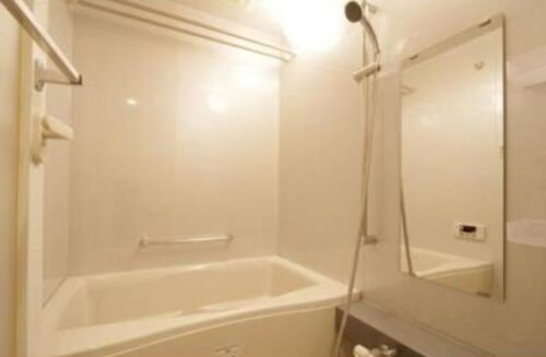 パークアクシス日本橋ステージ (風呂)イメージ