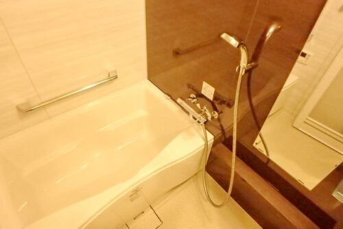 パークアクシス両国馬車通り (風呂)イメージ