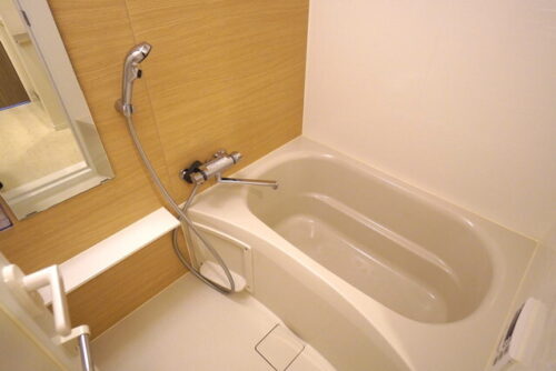 パークアクシス錦糸町ウエスト (風呂)イメージ パークアクシス錦糸町ウエスト (風呂)イメージ