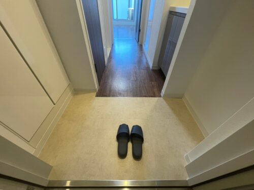 パークアクシス錦糸町スタイルズ (玄関)イメージ パークアクシス錦糸町スタイルズ (玄関)イメージ