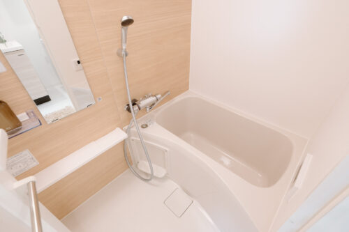 パークアクシス錦糸町スタイルズ (風呂)イメージ パークアクシス錦糸町スタイルズ (風呂)イメージ