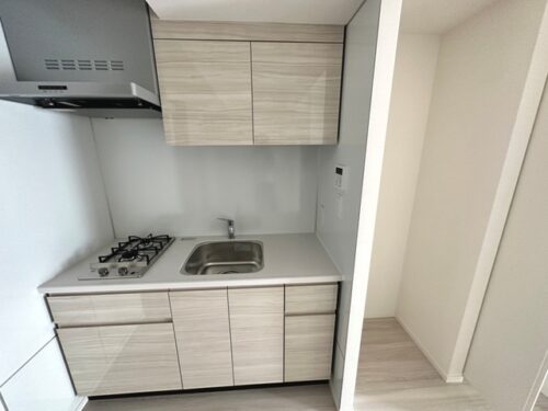 パークアクシス錦糸公園 (キッチン)イメージ