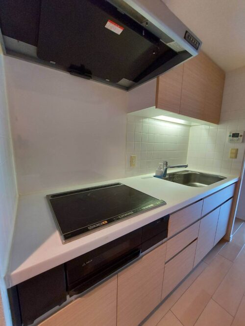 パークアクシス豊洲 (キッチン)イメージ