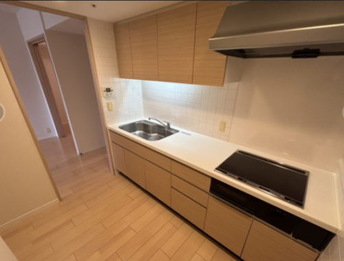 パークアクシス豊洲 (キッチン)イメージ