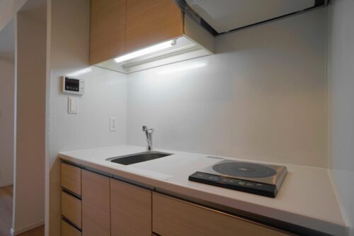 パークアクシス豊洲キャナル (キッチン)イメージ