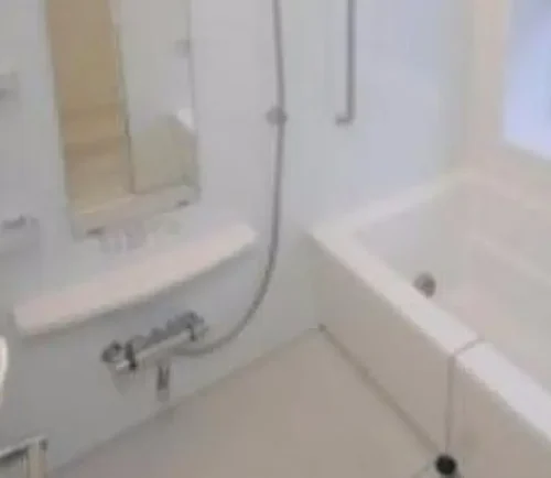 パークアクシス辰巳ステージ (風呂)イメージ