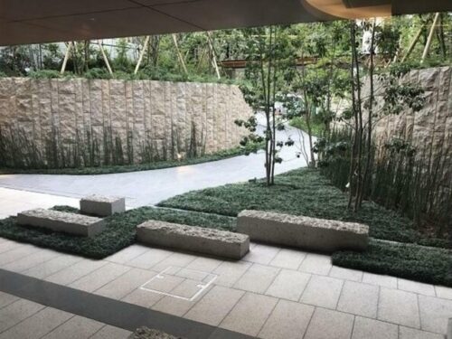 ブランズ渋谷常盤松 (周辺)イメージ ブランズ渋谷常盤松 (周辺)イメージ