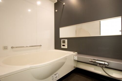 レジディア恵比寿南 (風呂)イメージ