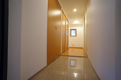 レジディア島津山 (玄関)イメージ