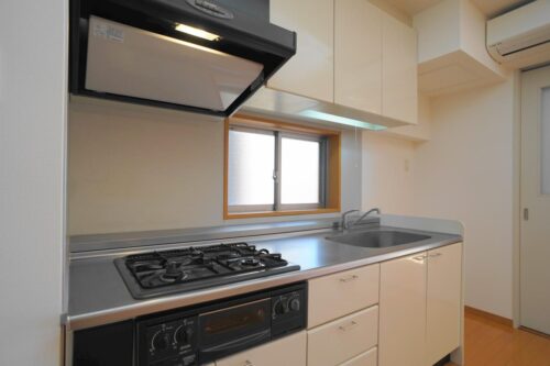 レジディア島津山 (キッチン)イメージ