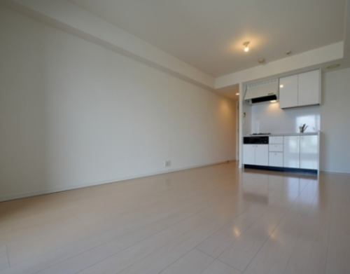 レジディア市ヶ谷Ⅱ (居間)イメージ