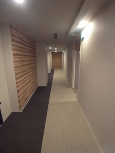 ルクレ西新宿内廊下 (内装)イメージ ルクレ西新宿内廊下 (内装)イメージ