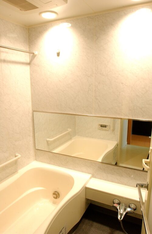 レジディア新宿イーストII (風呂)イメージ