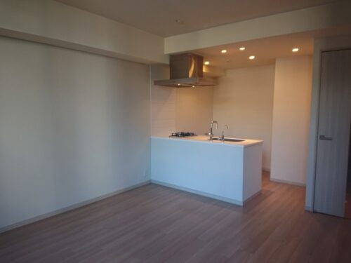 レジディア日本橋馬喰町Ⅲ (居間)イメージ