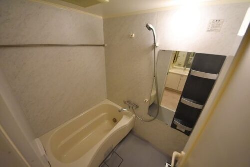 レジディア新川 (風呂)イメージ