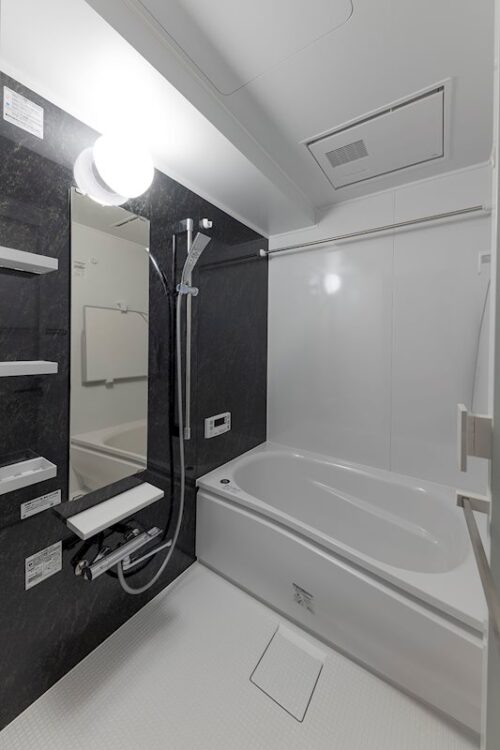 レジディア銀座東 (風呂)イメージ