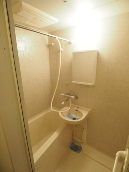 レジディア銀座東 (風呂)イメージ