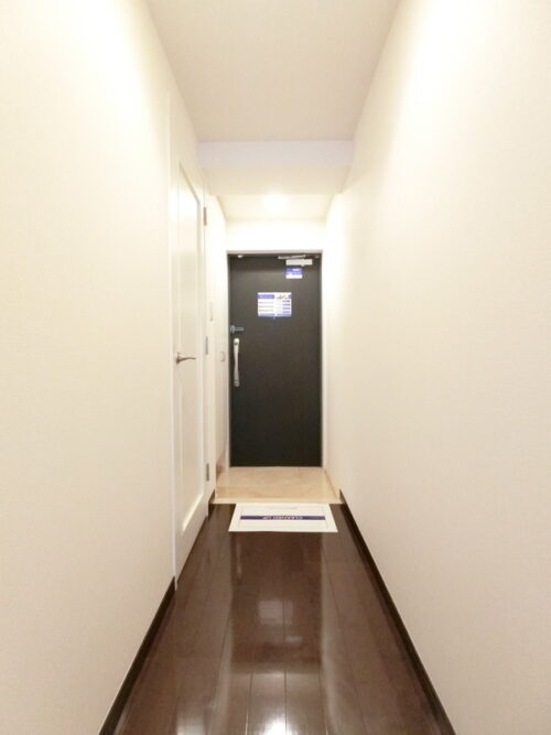 レジディア三軒茶屋Ⅱ (玄関)イメージ