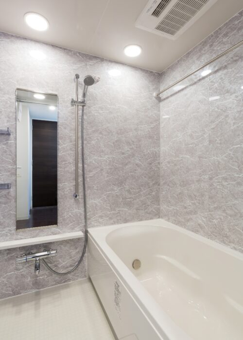 レジディア三軒茶屋Ⅲ (風呂)イメージ レジディア三軒茶屋Ⅲ (風呂)イメージ