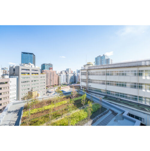 ブランズ千代田富士見 (外観)イメージ