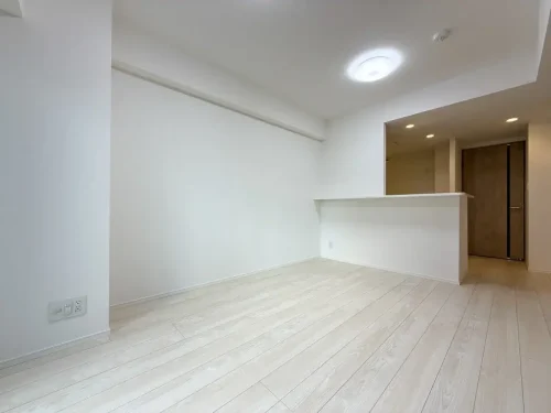 ブリックレジデンス築地明石町 (居間)イメージ ブリックレジデンス築地明石町 (居間)イメージ