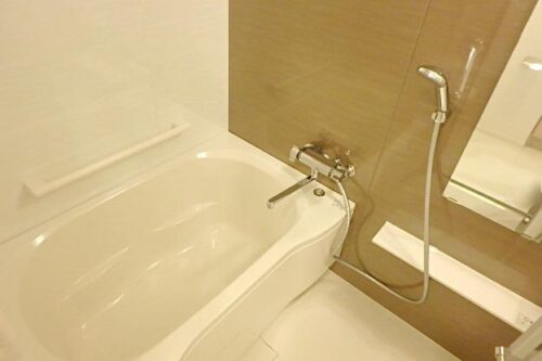 パークアクシス上野松が谷 (風呂)イメージ