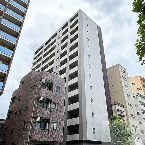  (外観)