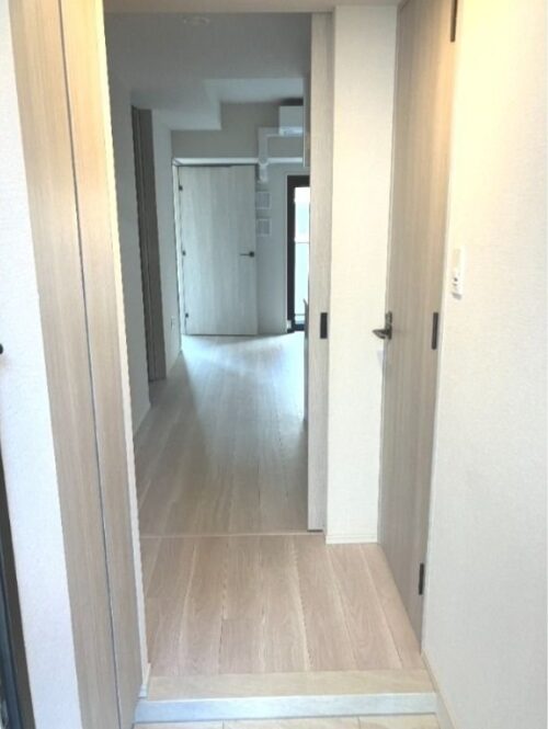 クリオラベルヴィ新富町 (玄関)イメージ クリオラベルヴィ新富町 (玄関)イメージ
