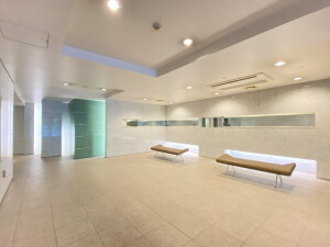 パークアクシス学芸大学 (内装)イメージ パークアクシス学芸大学 (内装)イメージ