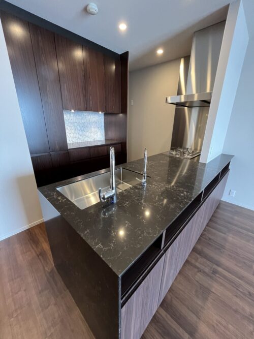 晴海フラッグ サンビレッジ T棟 スカイデュオ(HARUMI FLAG SUN VILLAGE SKY DUO) (キッチン)イメージ 晴海フラッグ サンビレッジ T棟 スカイデュオ(HARUMI FLAG SUN VILLAGE SKY DUO) (キッチン)イメージ