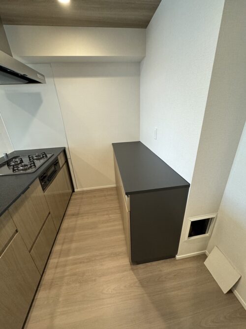 ブリックレジデンス南青山(BRICK RESIDENCE南青山) (キッチン)イメージ ブリックレジデンス南青山(BRICK RESIDENCE南青山) (キッチン)イメージ